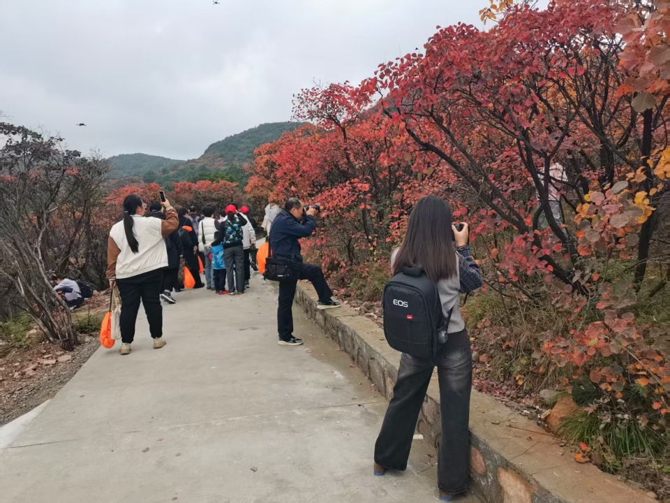 作者, 总会指导 作者, 总会指导