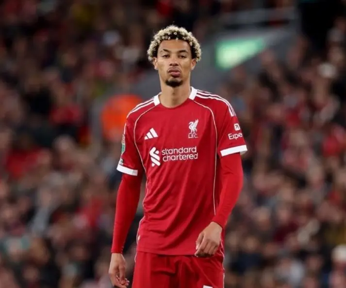 的训练都是 的训练都是